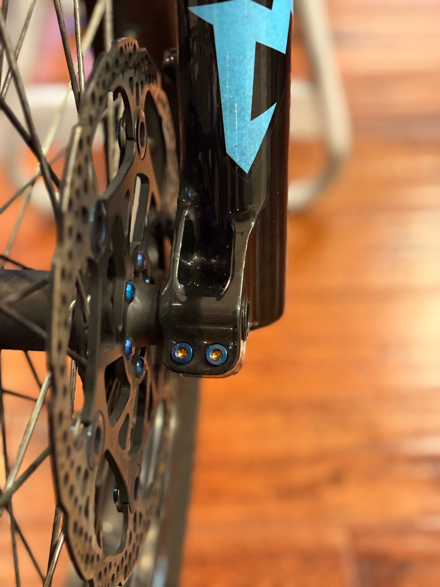 Pinch Bolts (set of 4)