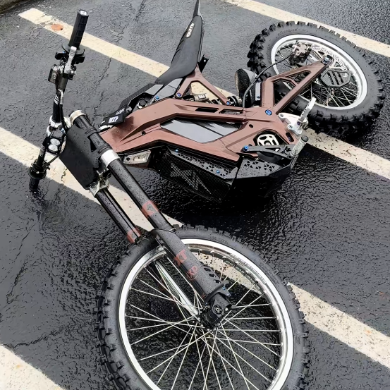 E Ride Pro S / SS Titanium Bolt Kit